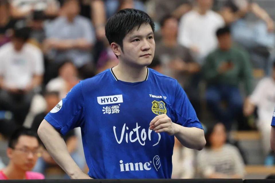 利奠定了基 利奠定了基