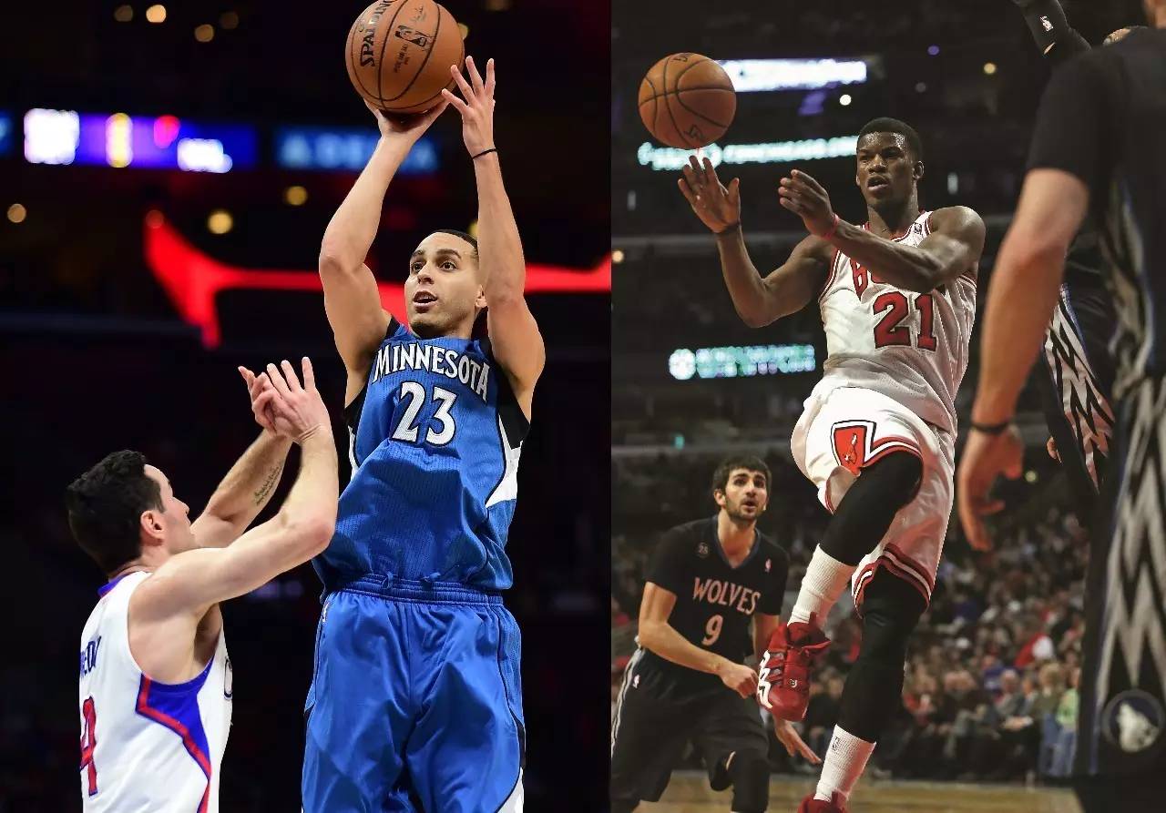 的多样性 的多样性